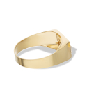 Men's Ring in Yellow and White Gold with White Stone GL100004