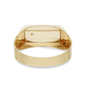 Men's Ring in Yellow and White Gold with White Stone GL100004