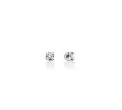 Miluna Women's Earrings ERD5068-018G7