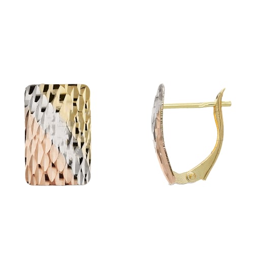 Women's Earrings in White, Yellow, and Rose Gold GL102256