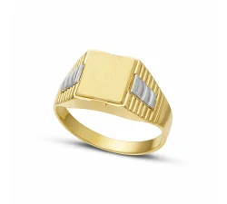 Men's Ring in Yellow and White Gold GL102376