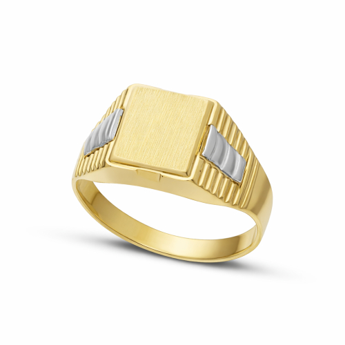 Men's Ring in Yellow and White Gold GL102376