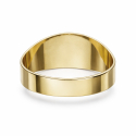 Herrenring aus Gelbgold GL102376