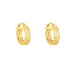 Stroili Toujours Earrings in Yellow Gold 1417111