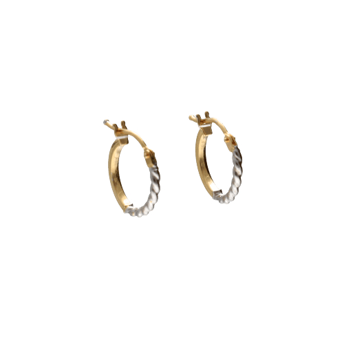 Women's Earrings in Yellow and White Gold GL102391