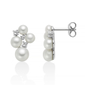 Miluna Andromeda Women's Earrings PER2893