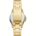 Fossil Blue Dive Men's Watch FS6030