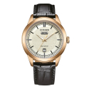 Citizen OF Day Date AW0153-04A Herrenuhr