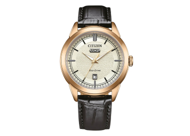 Citizen OF Day Date AW0153-04A Herrenuhr
