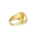 Herrenring aus Gelbgold GL102433