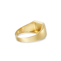 Herrenring aus Gelbgold GL102434