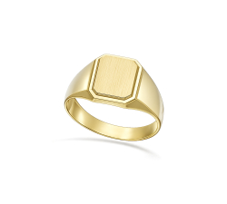 Herrenring aus Gelbgold GL102435