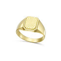 Herrenring aus Gelbgold GL102436
