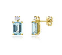 Women's Yellow Gold Earrings GL102442