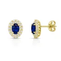 Women's Yellow Gold Earrings GL102445