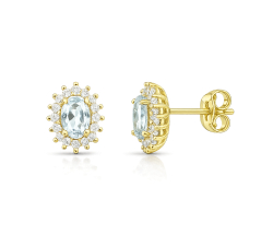 Women's Yellow Gold Earrings GL102445