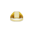 Anello Uomo Oro Giallo GL102437