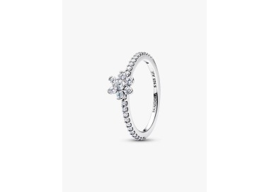 Anello Pandora Fiore Luminoso 194499C01