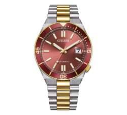 Citizen Tsuyosa Shore Men's Watch NJ0234-58X