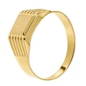 18kt Yellow Gold Men's Ring GL102577