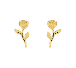 Stroili Bon Ton Women's Earrings 1438117