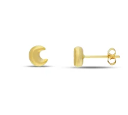 18kt Yellow Gold Women's Earrings GL102607