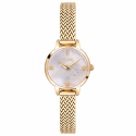 Alviero Martini 1a Classe Naxos Women's Watch AC00850010201B01
