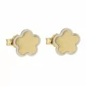 Fiore Donna Earrings in Gold 803321733444