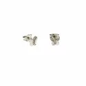 White Gold Butterfly Earrings 803321716581