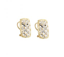 Woman Earrings in White and Yellow Gold 803321704758