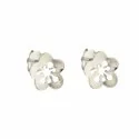 White Gold Flower Earrings 803321727168