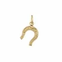 Horseshoe lucky charm 803321700418