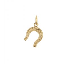 Horseshoe lucky charm 803321700418