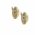 Woman Earrings in White and Yellow Gold 803321728246