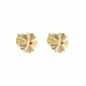 Yellow Gold Flower Woman Earrings 803321703640