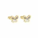 Women's Butterfly Earrings in Gold 803321733451