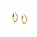 Women's Yellow Hoop Earrings 803321700579