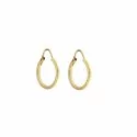 Women's Yellow Hoop Earrings 803321716730