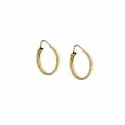 Women's Yellow Hoop Earrings 803321716740