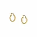 Women's Yellow Hoop Earrings 803321727711