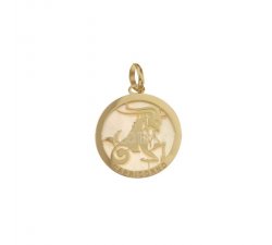Sternzeichen Steinbock Anhänger in Gelbgold 803321733010