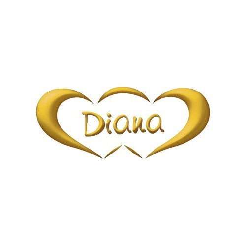DIANA Wedding Ring 3 grams Yellow Gold Classic Wide Band