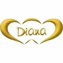 DIANA Wedding Ring 3 grams Yellow Gold Classic Wide Band