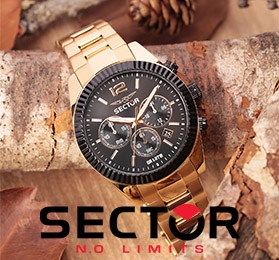 Sector